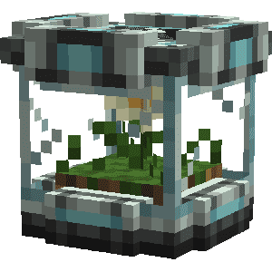 AE чистая маргаритка