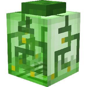 Банка эссенци 4